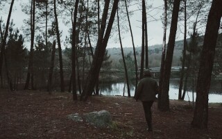 Заблукати – тлумачення сну + психологічний символізм