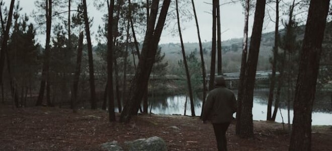 Заблукати – тлумачення сну + психологічний символізм