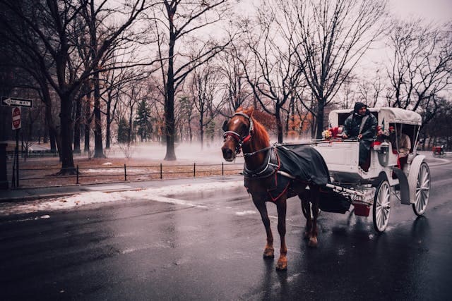 Екіпаж