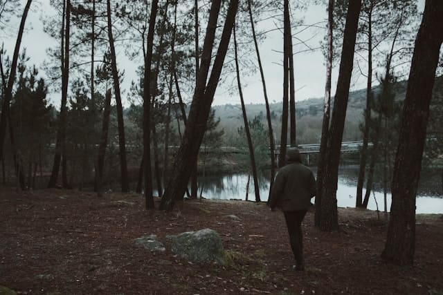 andrea-rodriguez-unsplash - Заблукати